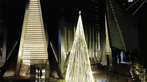 点亮的是这座繁城的新高度 划破天际的高楼遇上暖化冷冬的大树 点亮的